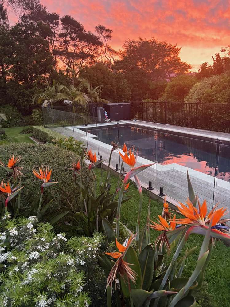 24A Banks Drive Aongatete_29