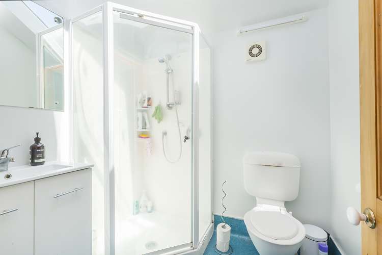 23 Stafford Street Mount Victoria_9