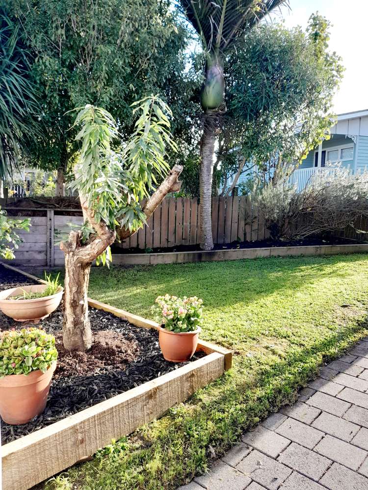 4 Kowhai Place Te Kauwhata_19