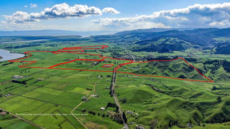 81 Station Road Puriri_20