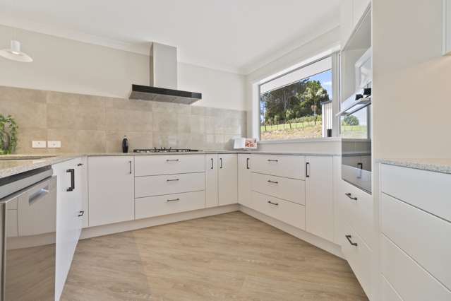 202b Thompsons Track Aongatete_2