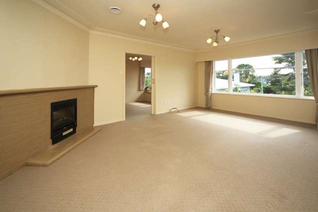 113 White Swan Road Mount Roskill_3