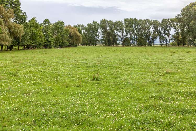 780 Wani Road Paeroa_20