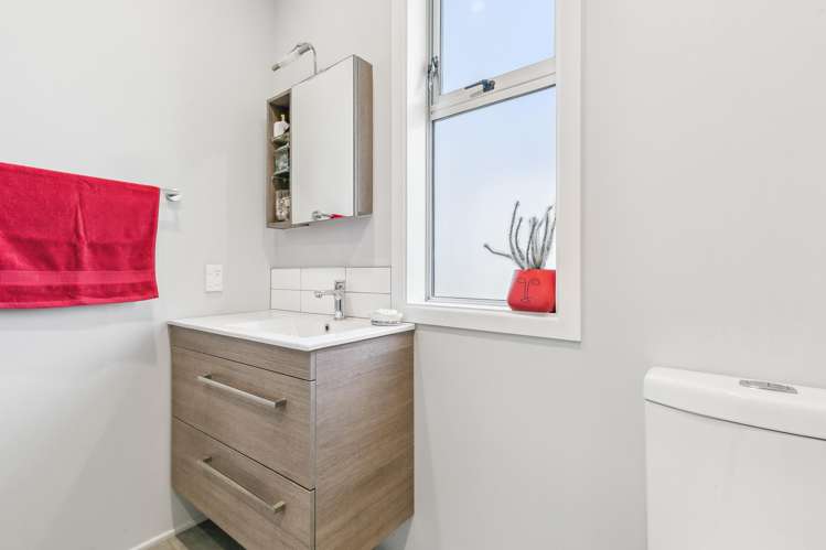 93 Apu Crescent Lyall Bay_12