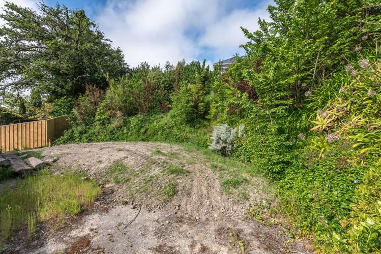 77c Aynsley Terrace Hillsborough_10