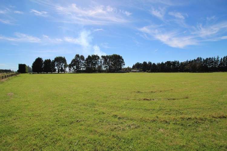 112 Calico Line Marton_55