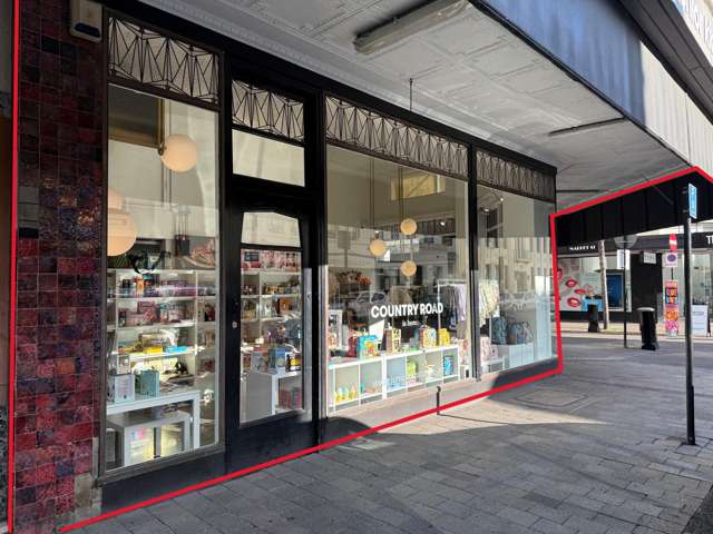34 Tennyson Street Napier South_1