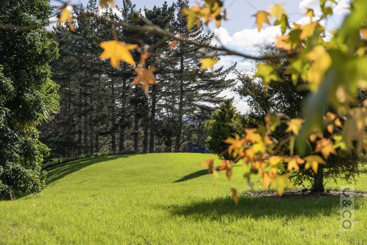 408 Taupaki Road Kumeu_16