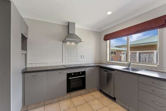 24B Reeve Street Levin_2