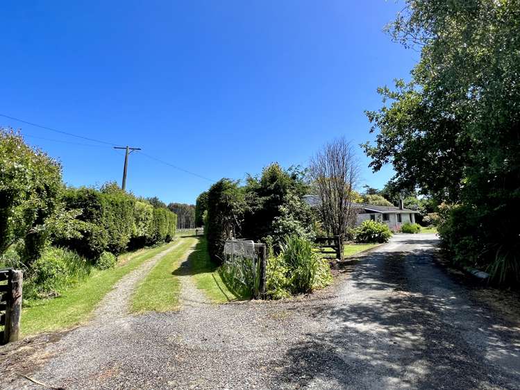 203 Curran Road Otatara_27