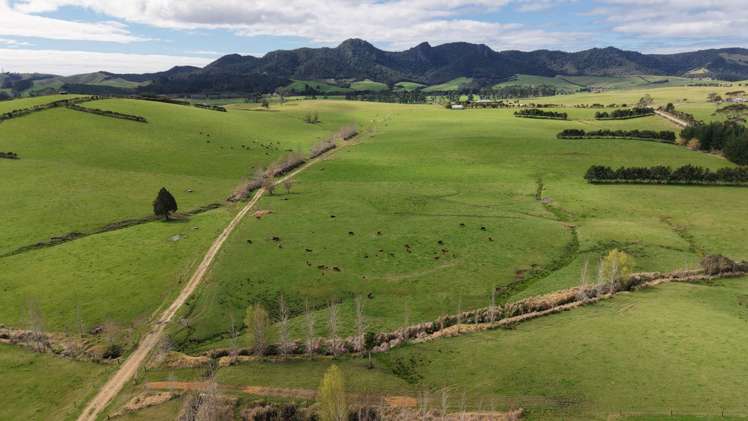 1698 State Highway 10 Totara North_10