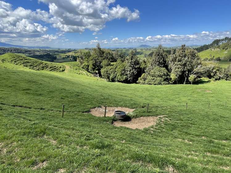 104 Tapuae Road Honikiwi_38