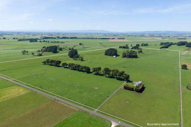 335a Couper Road Glen Oroua_1