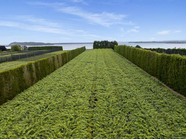 187 Athenree Road Athenree_3