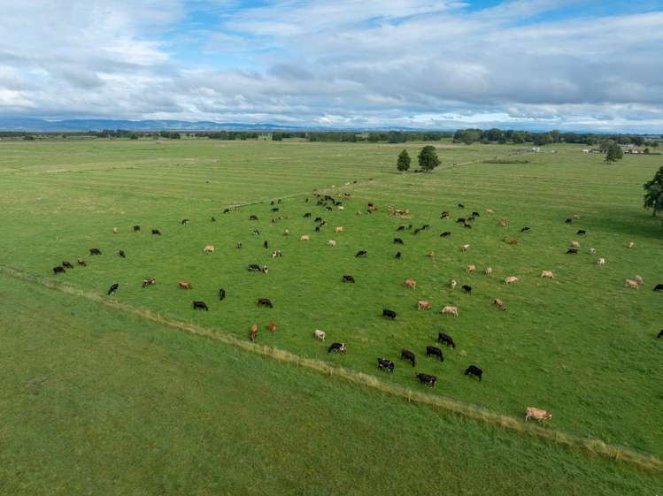 874 Wani Road Paeroa_13