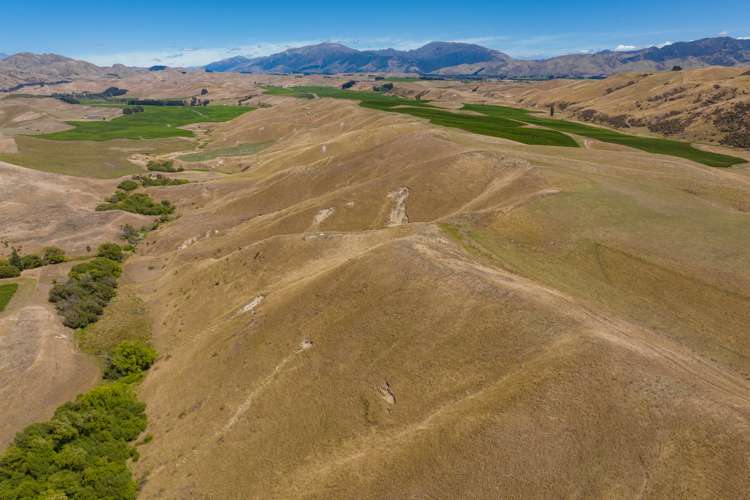 167 Marama Road Seddon_3