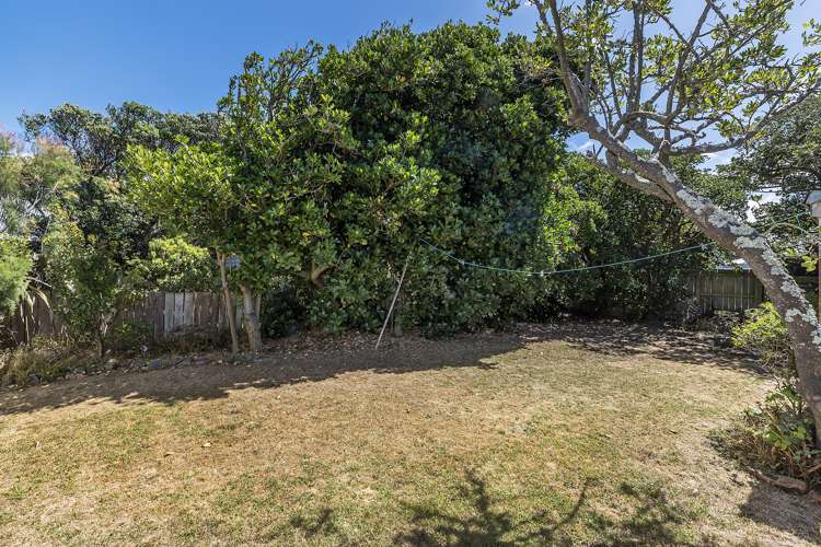 124 Apu Crescent Lyall Bay_6