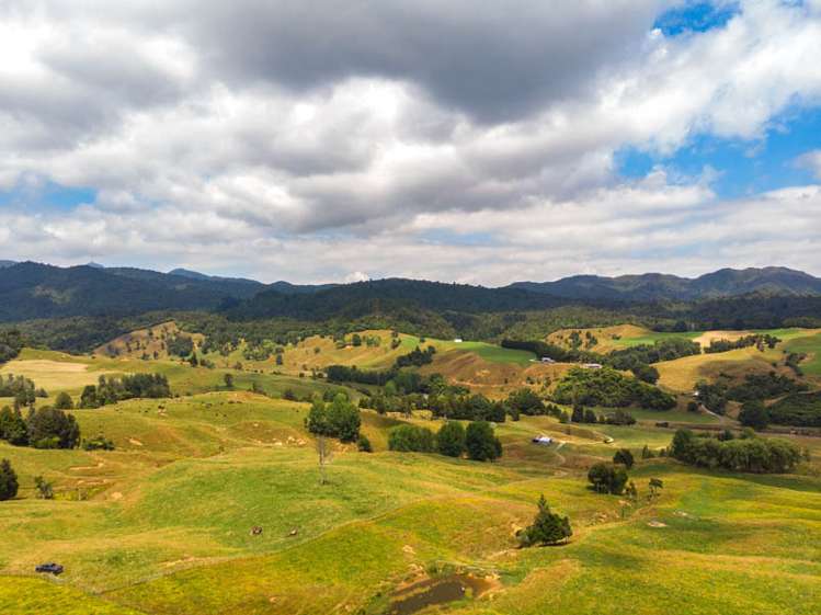 249 Franklin Road Waihi_18