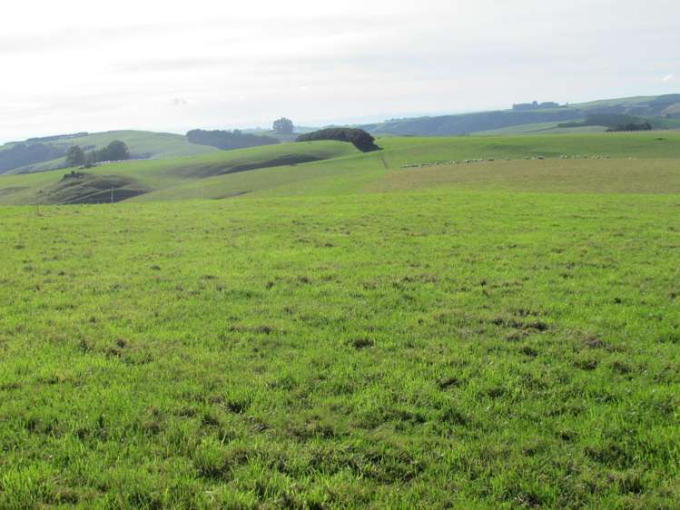 749 Woodslea Downs Road Wyndham Surrounds_10