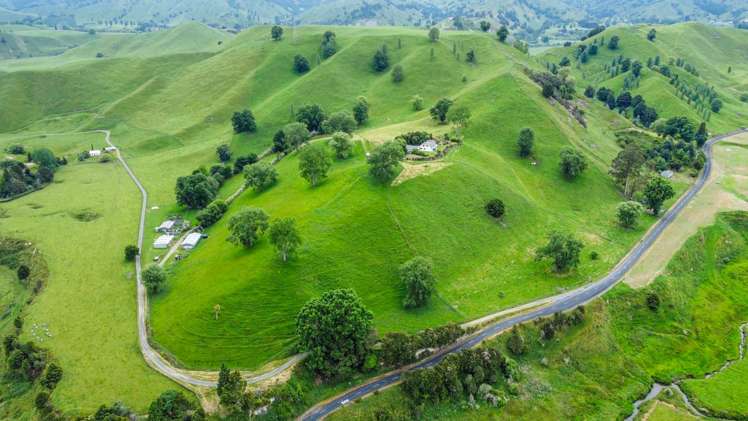 560A Hikumutu Road Taumarunui_28