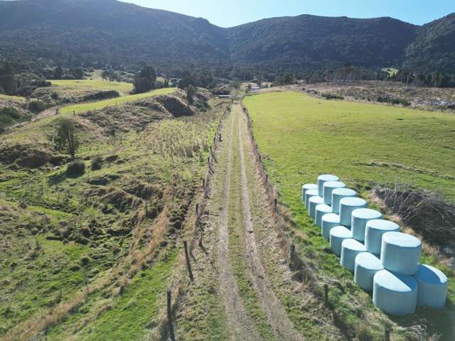 1612 Tahakopa Valley Road Catlins Surrounds_2