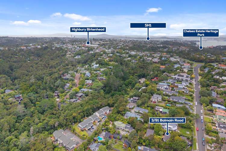 3/91 Balmain Road Birkenhead_24