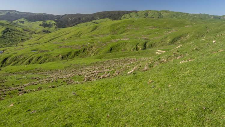 419 Daggs Road Bideford_16