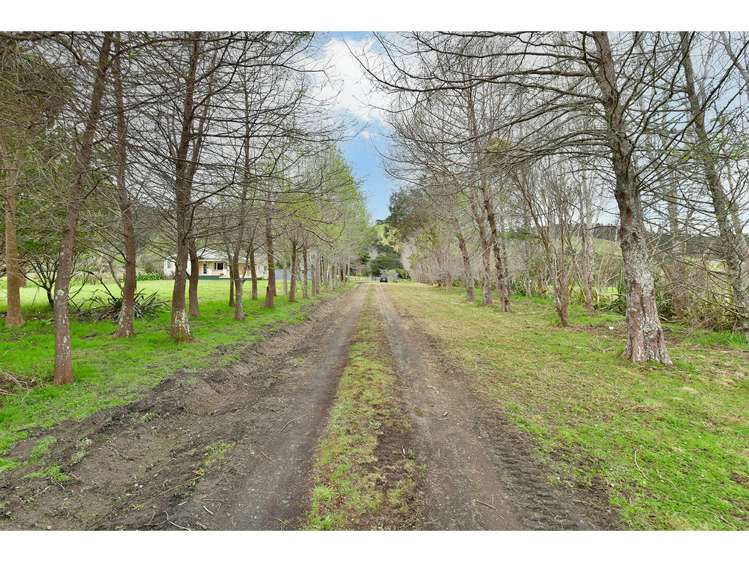 2882 Kaipara Coast Highway Glorit_22