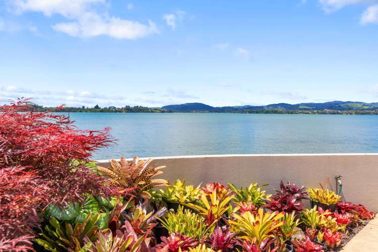 10/2 Sixth Avenue Tauranga Central_14