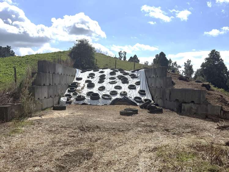 1026 Limeworks Loop Road Karamu_33