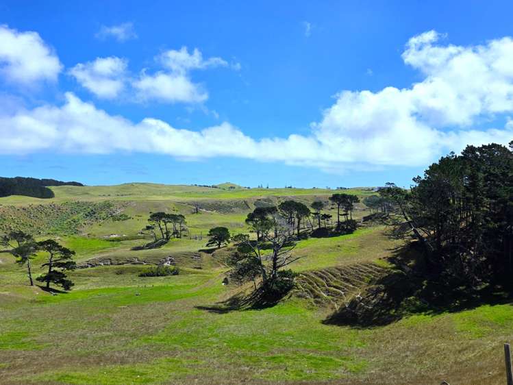 Mount Wesley Coast Road Dargaville_10