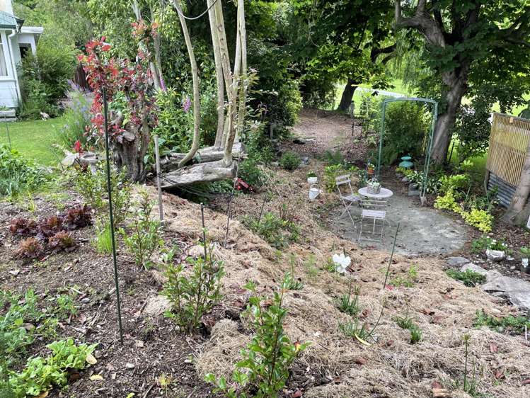 53 Mckenzie Street Geraldine_9