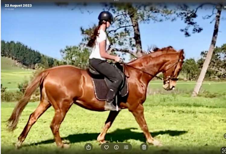 210C Okauia Springs Road Matamata_23