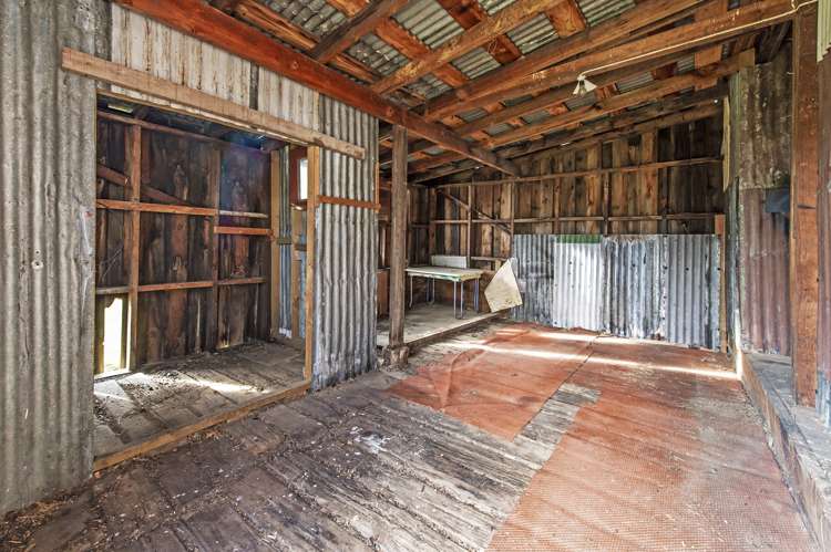 4 Queen Street Springfield_20