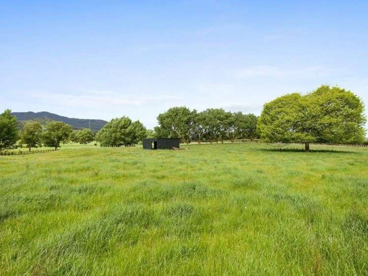 516 Te Hoe Road Te Hoe_15