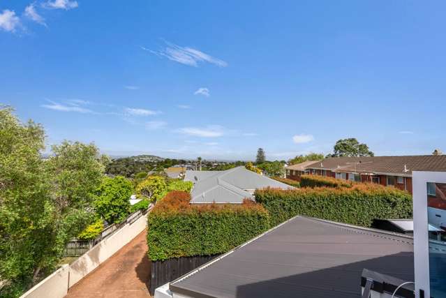 6A Ruapehu Street Mount Eden_4