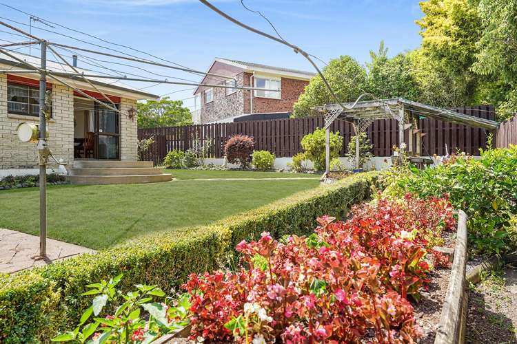 6 Titoki Place Pukete_20