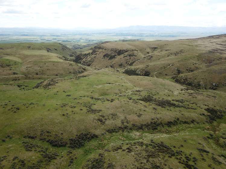 Hamilton Diggings Road Kokonga_7