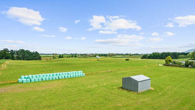 Tower Road Matamata_7