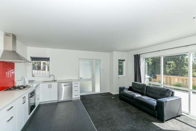 1/5 Edgecumbe Street Whitiora_2