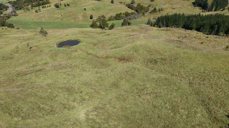 2934 State Highway 1 Umawera_18