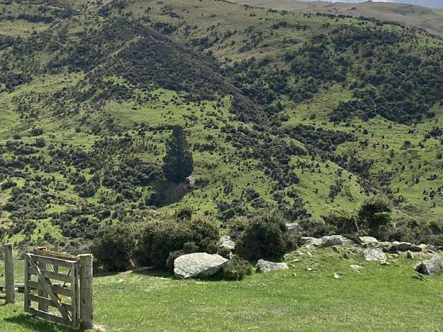 Mt Hope Road, Coal Creek Flat Roxburgh_4
