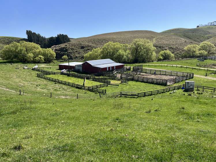 148 Tapui Homestead Road Five Forks and Surrounds_13