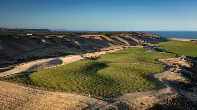 Large vineyard asset with contract