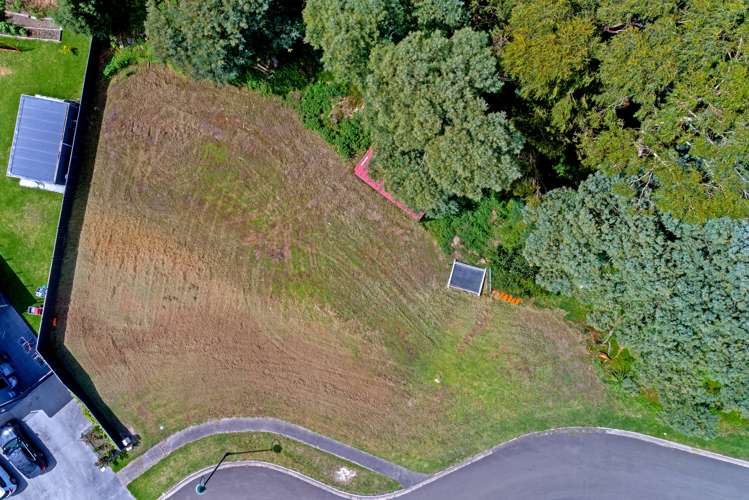 18 Diana Avenue Mangapapa_4