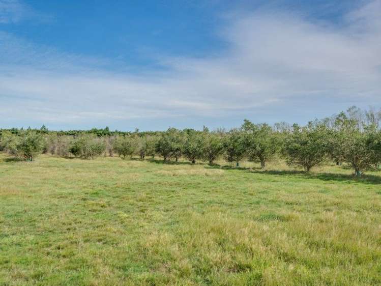 119 Verona Place Ohoka_6