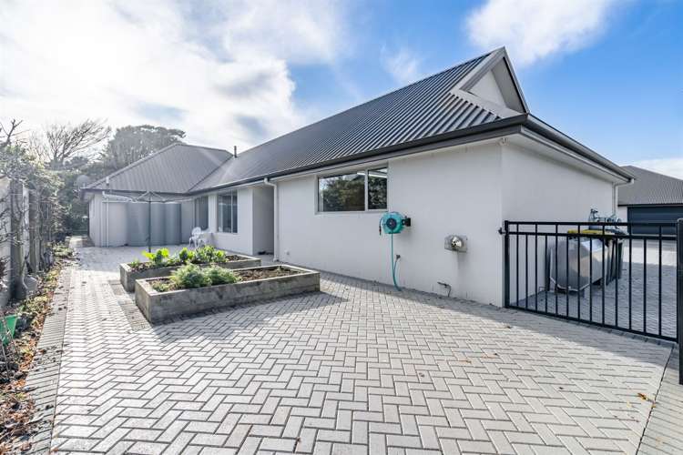 378 Herbert Street Windsor_21