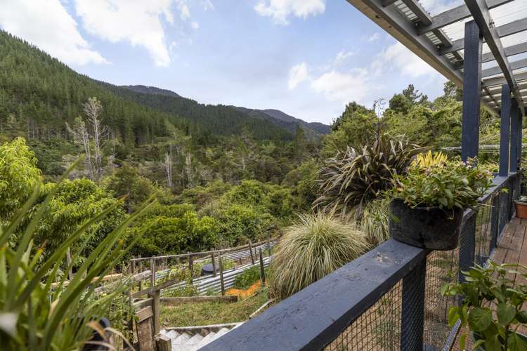 920 Wakamarina Road Havelock_25