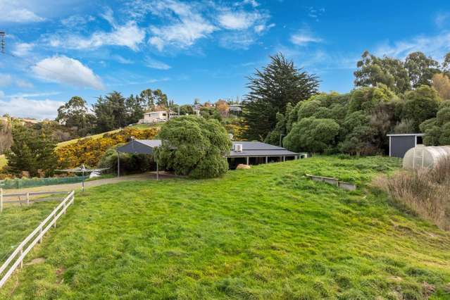 15 Darnell Street Andersons Bay_2