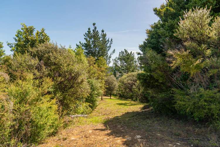 57 Tarapatiki Drive Whitianga_12